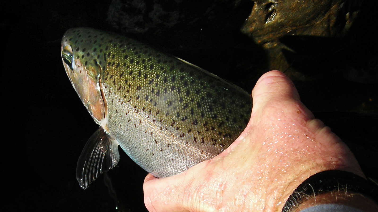 10 things you can only do on the Tuolumne (catch a rainbow)